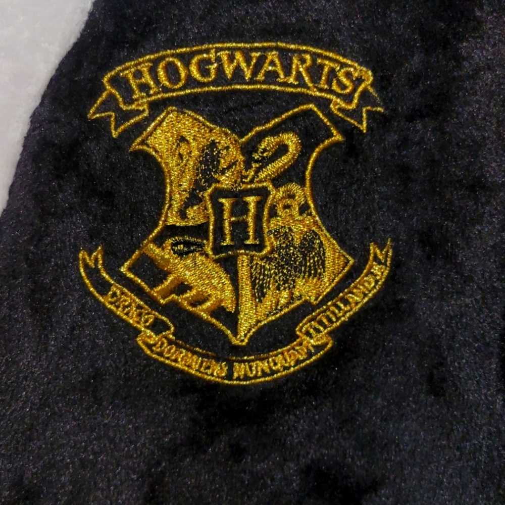 **Last Chance**  Harry Potter Pajamas or Onsie-Costume